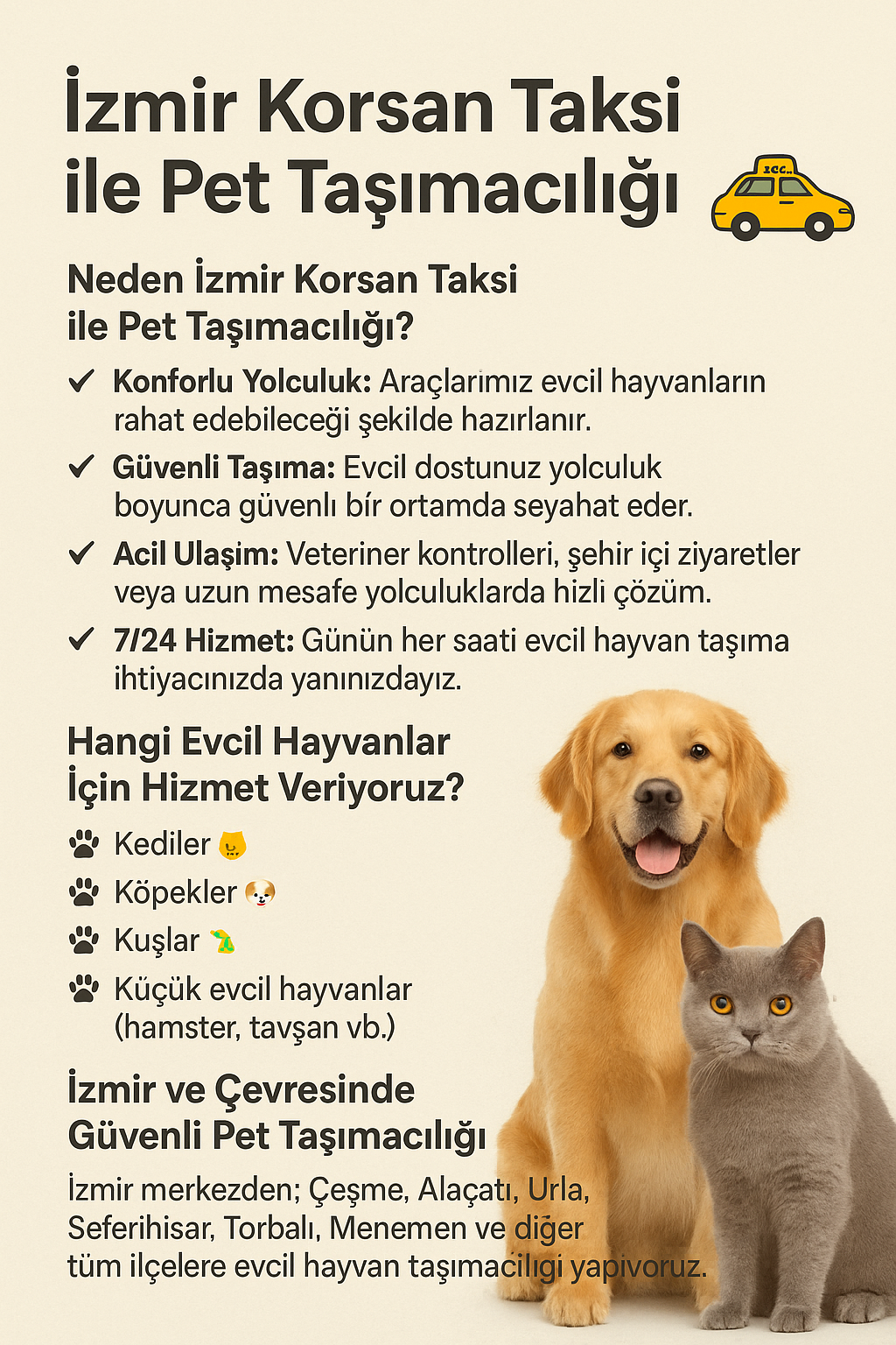 Pet Taşımacılığı (İzmir Korsan Taksi)
